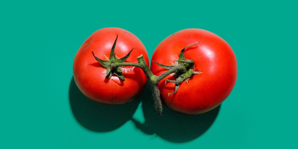 two red tomatoes in green background