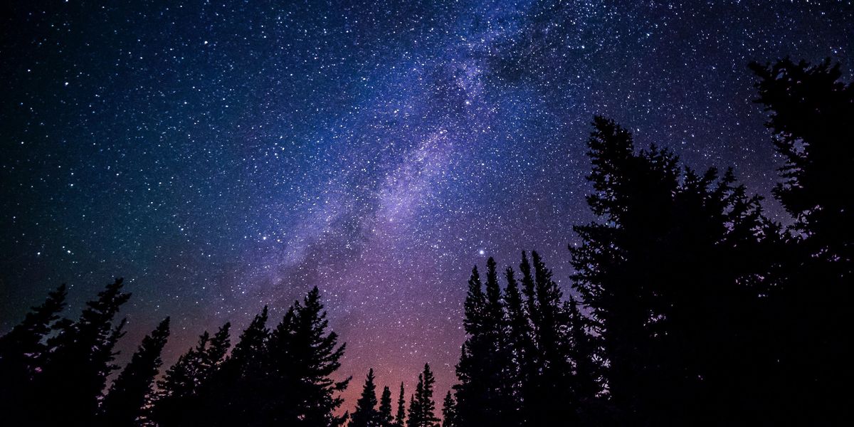 A csillagos égbolt egy erdőből fényképezve