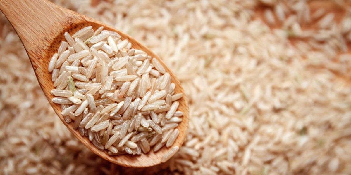 Barna rizs fakanálon