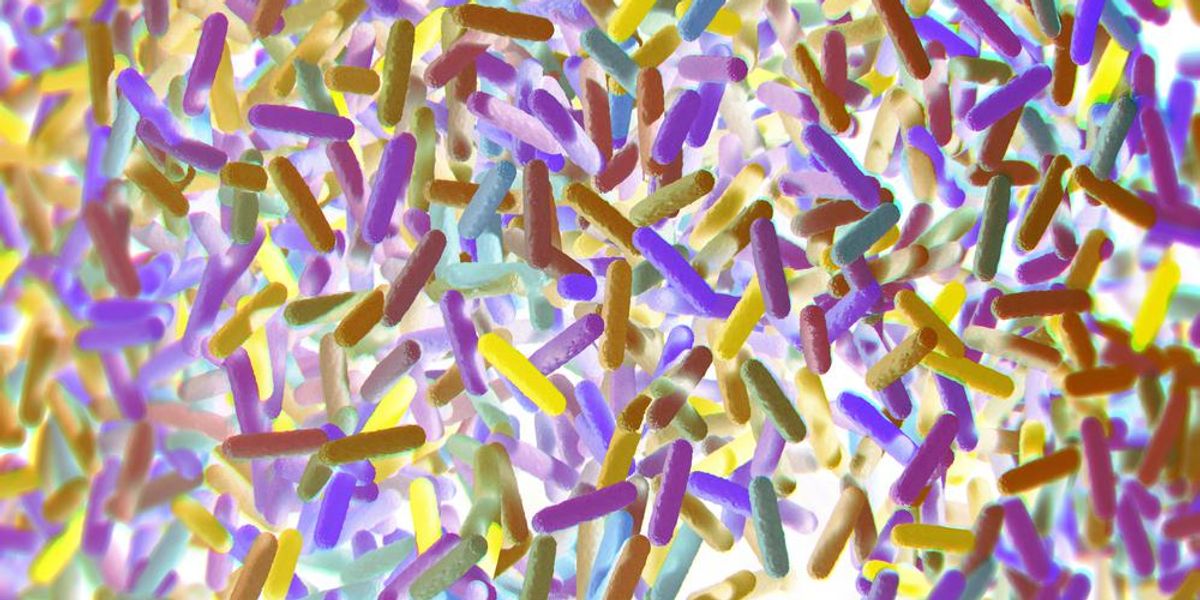 Bélbaktériumok mikrobiomja - 3D illusztráció