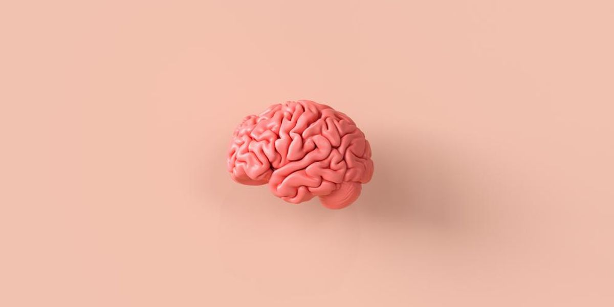 Rózsaszín agy, rózsaszín háttér előtt