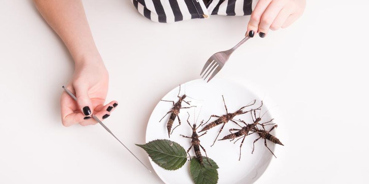 nő eszik a tányéron bogarak