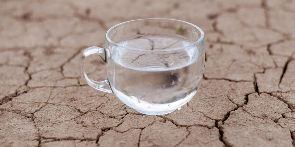 Egy csésze víz a repedezett száraz talajon