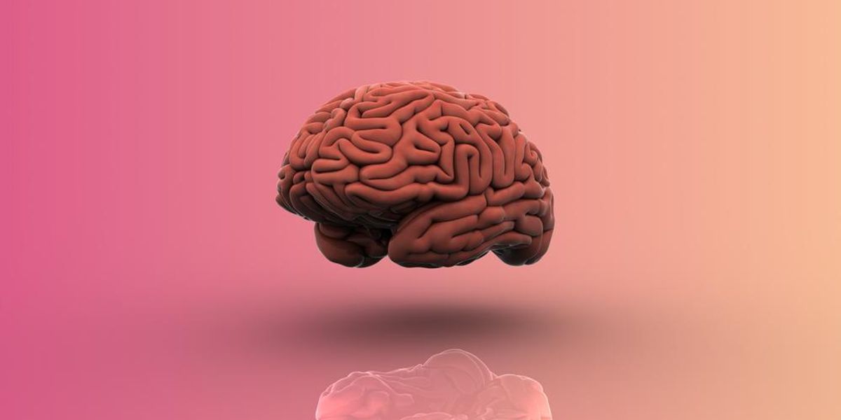 Emberi agy 3D képe rózsaszín háttéren