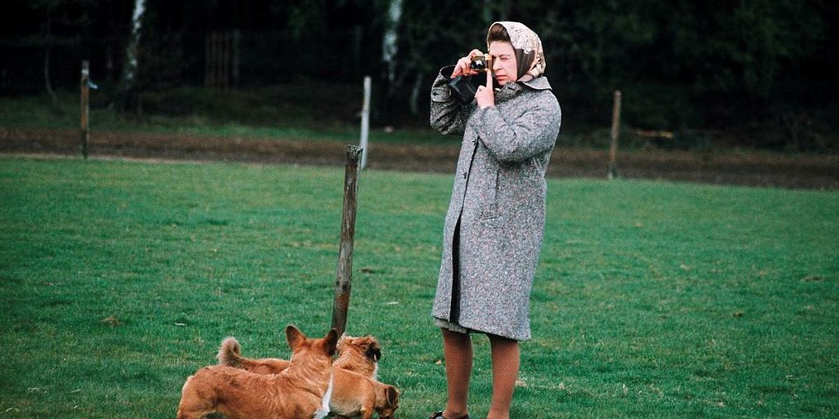II. Erzsébet királynő egy kamerával a kezében, lábai mellett kutyáival