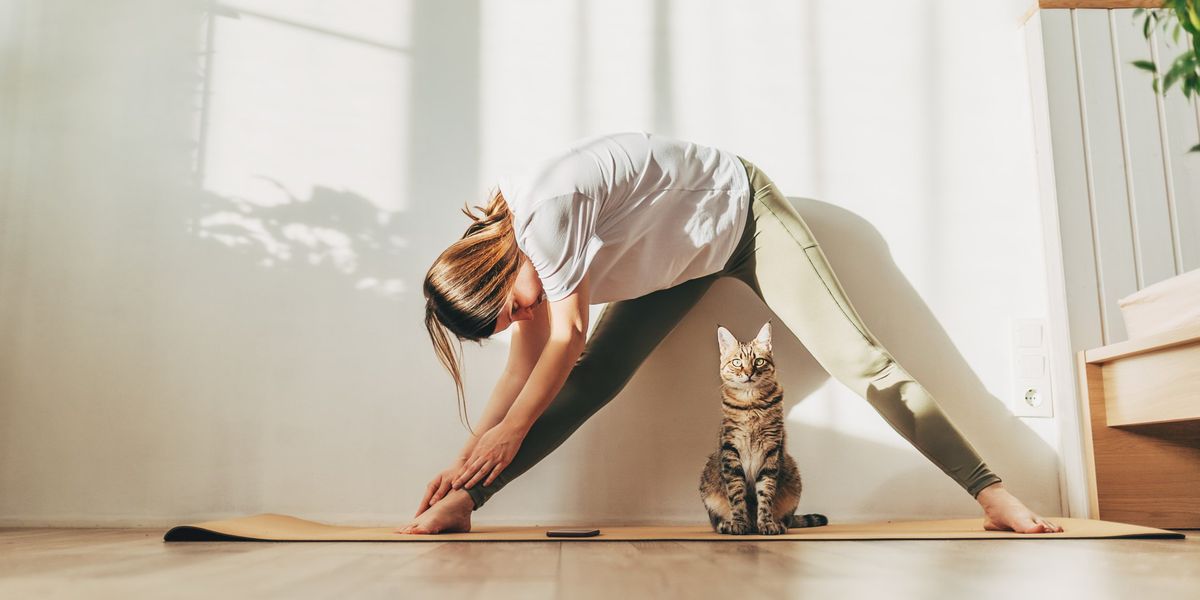 egy jógázó nő, alatta macska ül a szőnyegen