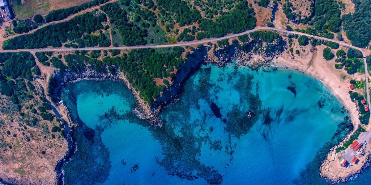 Sea bird strand a Karpas-félszigeten, Észak-Ciprus