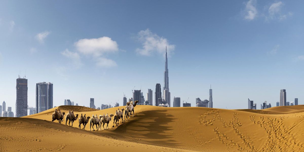 dubaj sivatag felhokarcolo teve