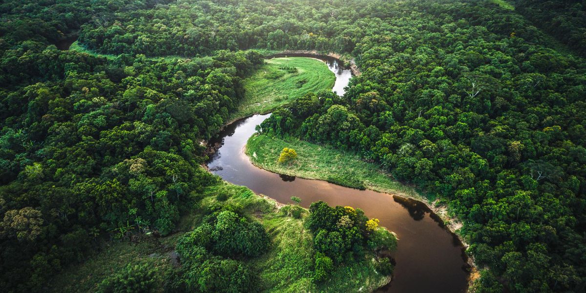 amazonas folyo esoerdo