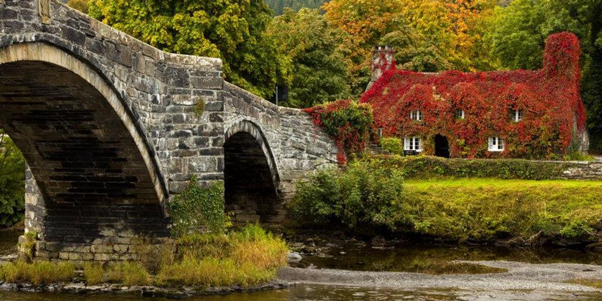 walesi hid kis folyo folott