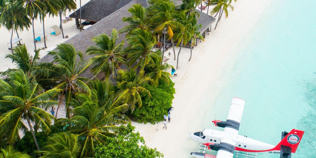 plane parked beside the trees on seashore