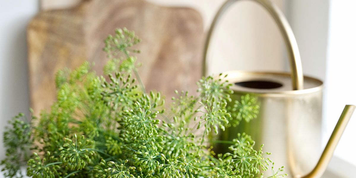 green plant on white ceramic mug