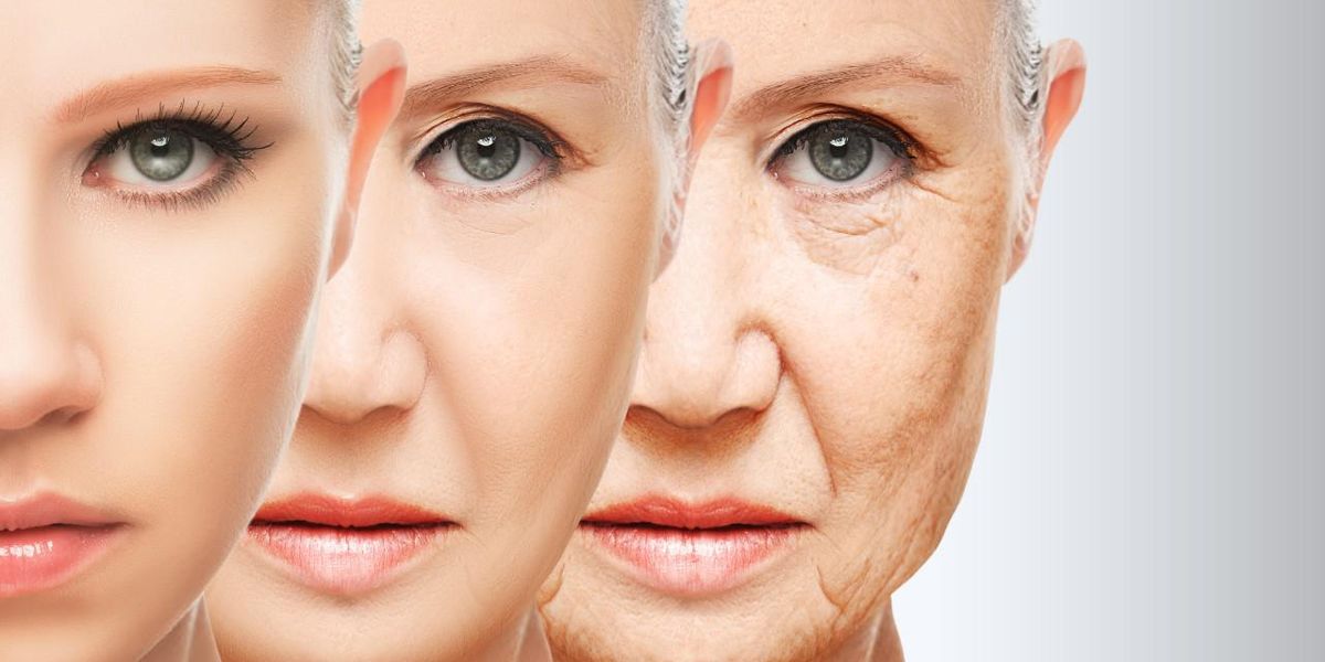 A női bőr öregedésének három fázisa