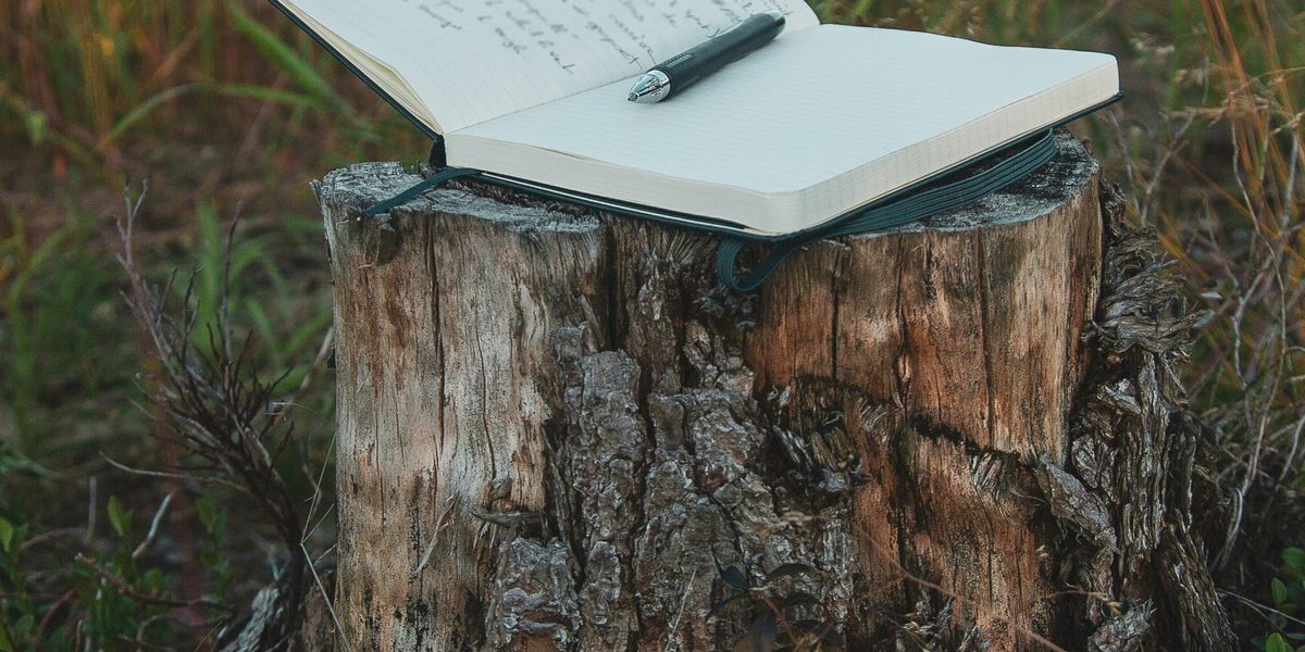 white book on brown wood log