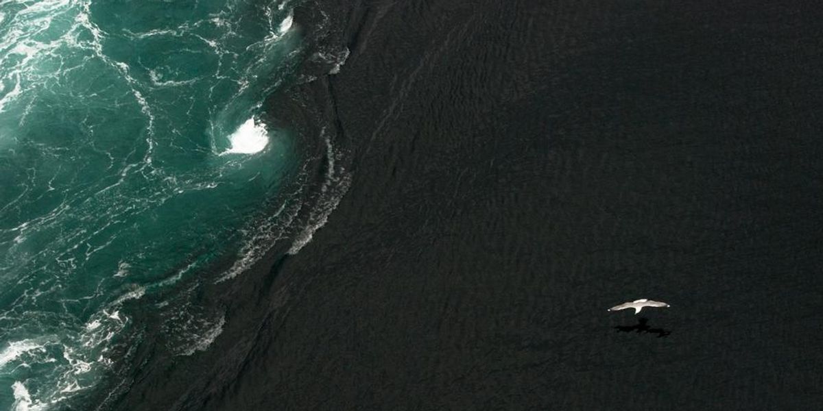 A norvég Saltstraumen áramlat