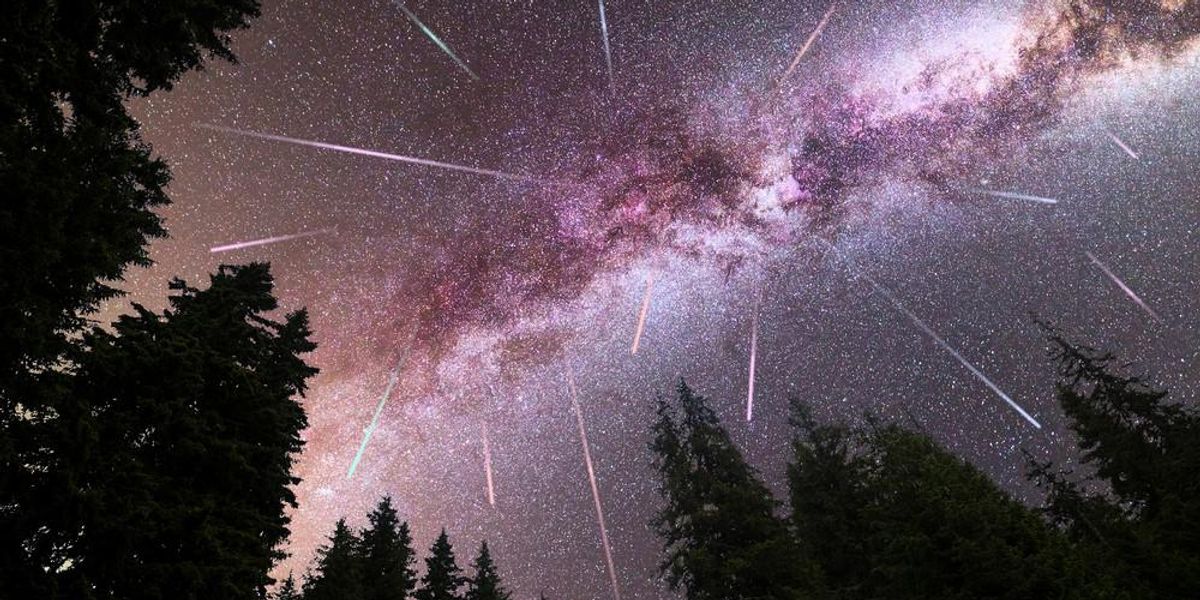 Egy meteorzápor egy erdőből figyelve