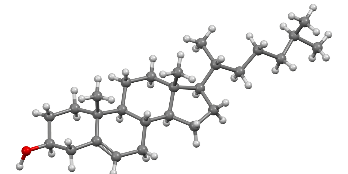 A koleszterinmolekula kristályszerkezet-modellje