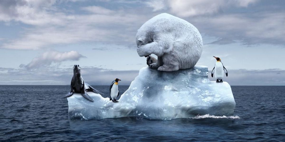 Egy apró jégtáblán lévő jegesmedvéről és néhány pingvinről készített illusztráció