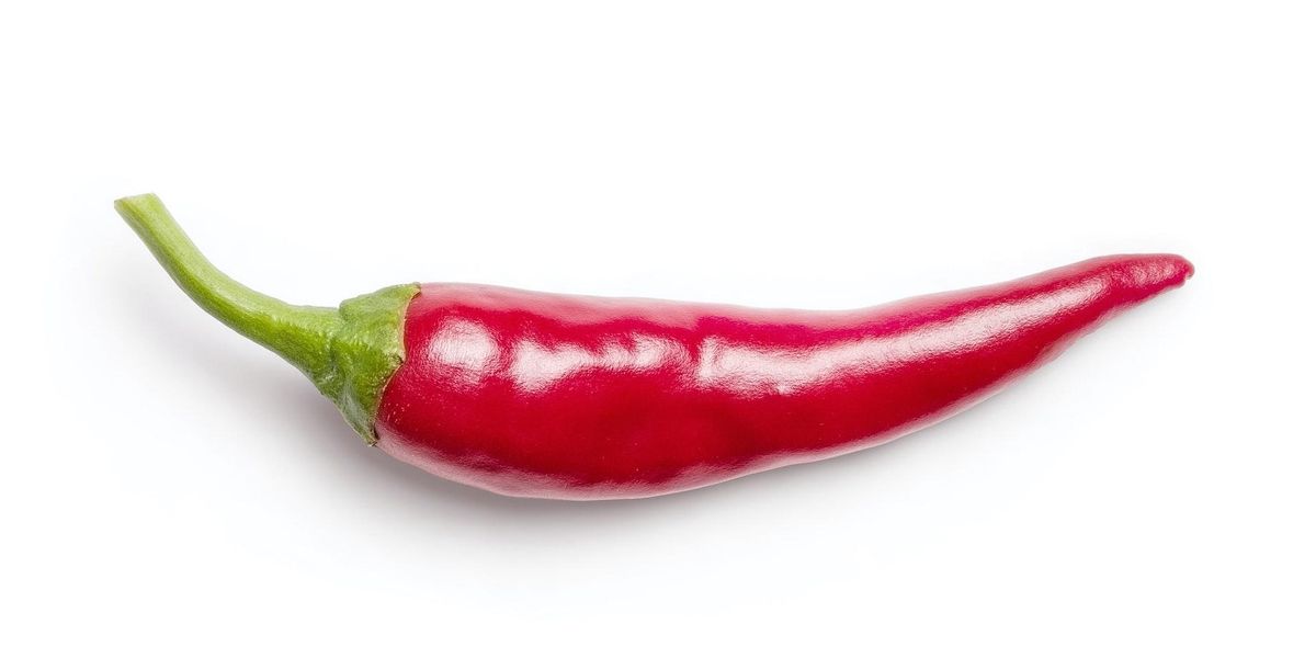 Csili paprika fehér háttéren
