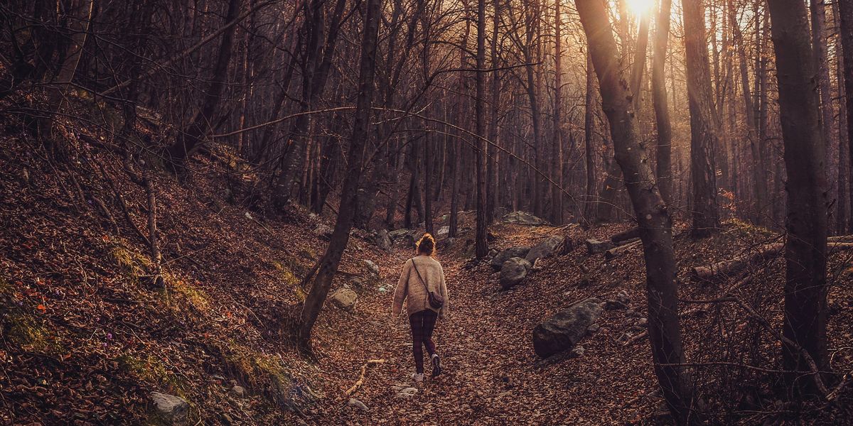 Egy lány sétál az erdőben