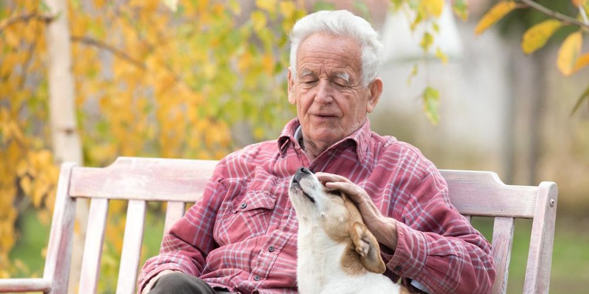 Padon ülő idősebb férfi kutyájával