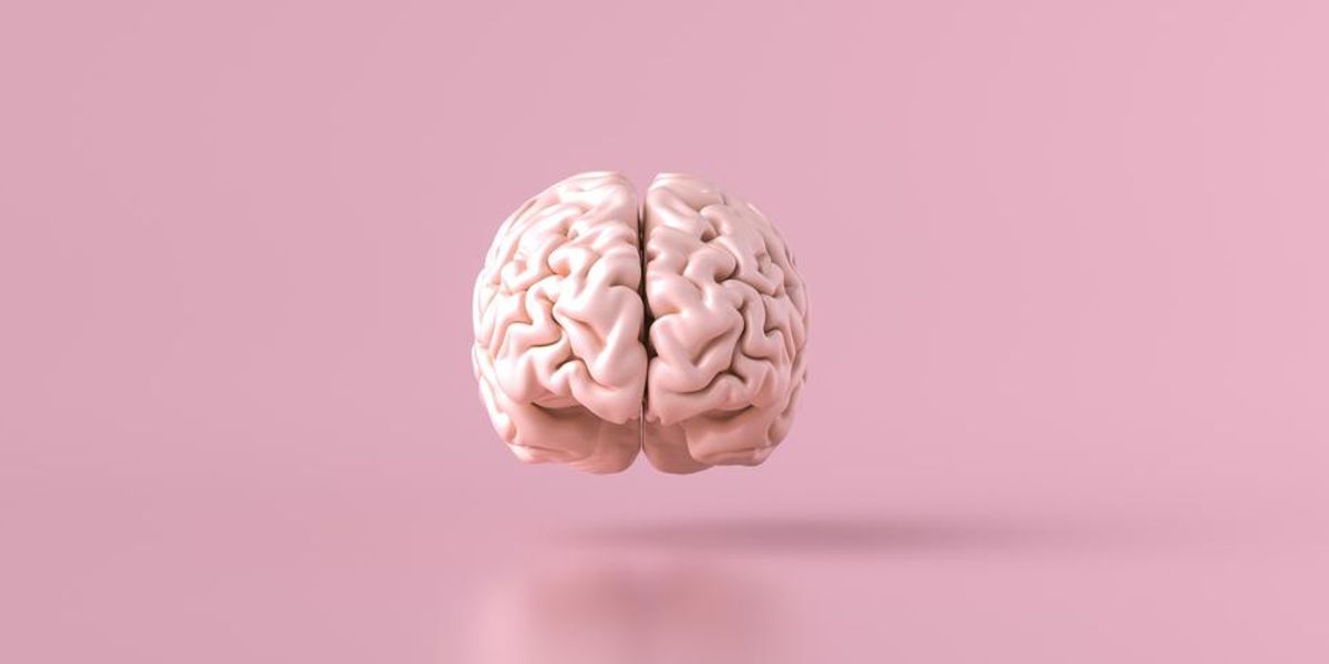 Emberi agy rózsaszín háttéren