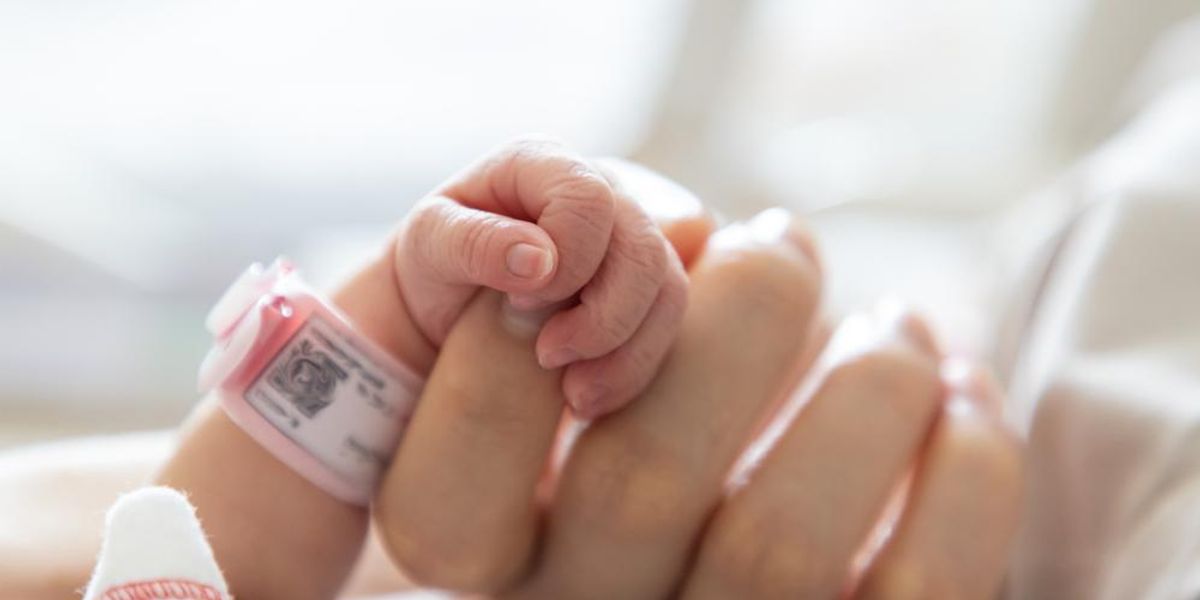 Újszülött csecsemő keze fogja a szülő ujját