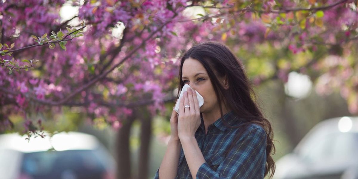 5 tipp a tavaszi allergia leküzdésére