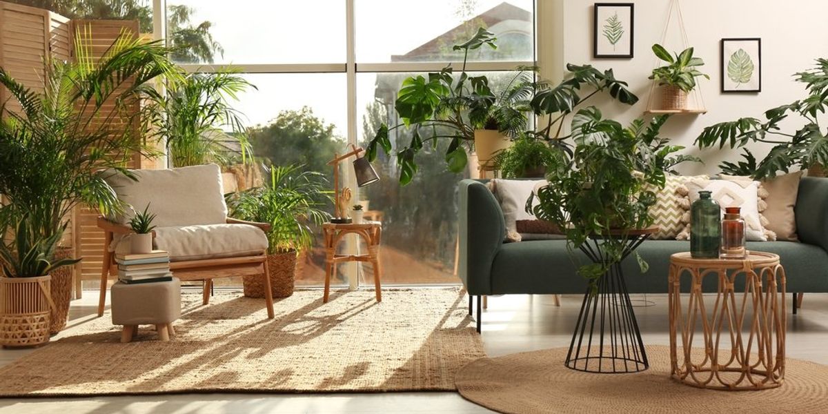 Stílusos szobabelső különböző szobanövényekkel és bútorokkal 