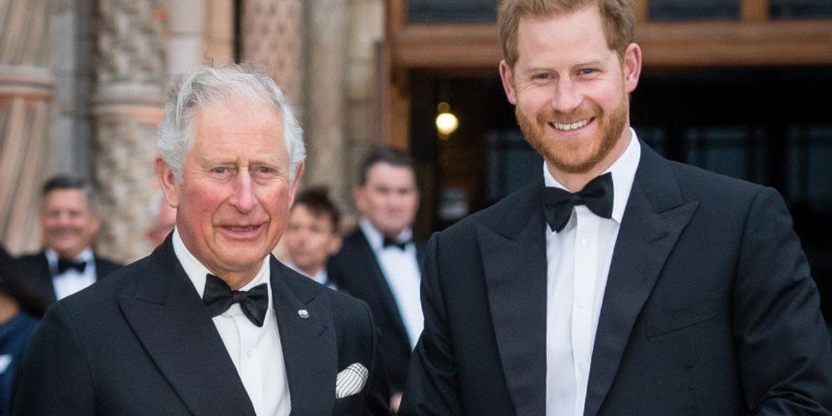Károly walesi herceg és Harry sussexi herceg az Our Planet című film globális premierjén a Természettudományi Múzeumban 2019. április 04-én Londonban