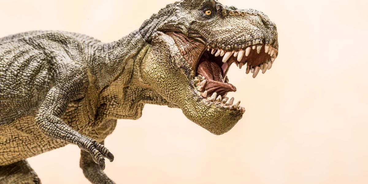 Megdöbbentő adatok: ennyi T-Rex élhetett egykor a Földön