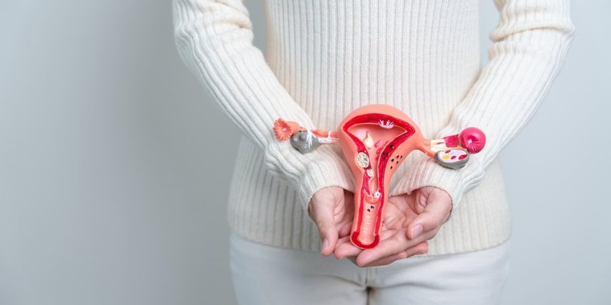 Méh és petefészek 3D modellt tartó női kéz