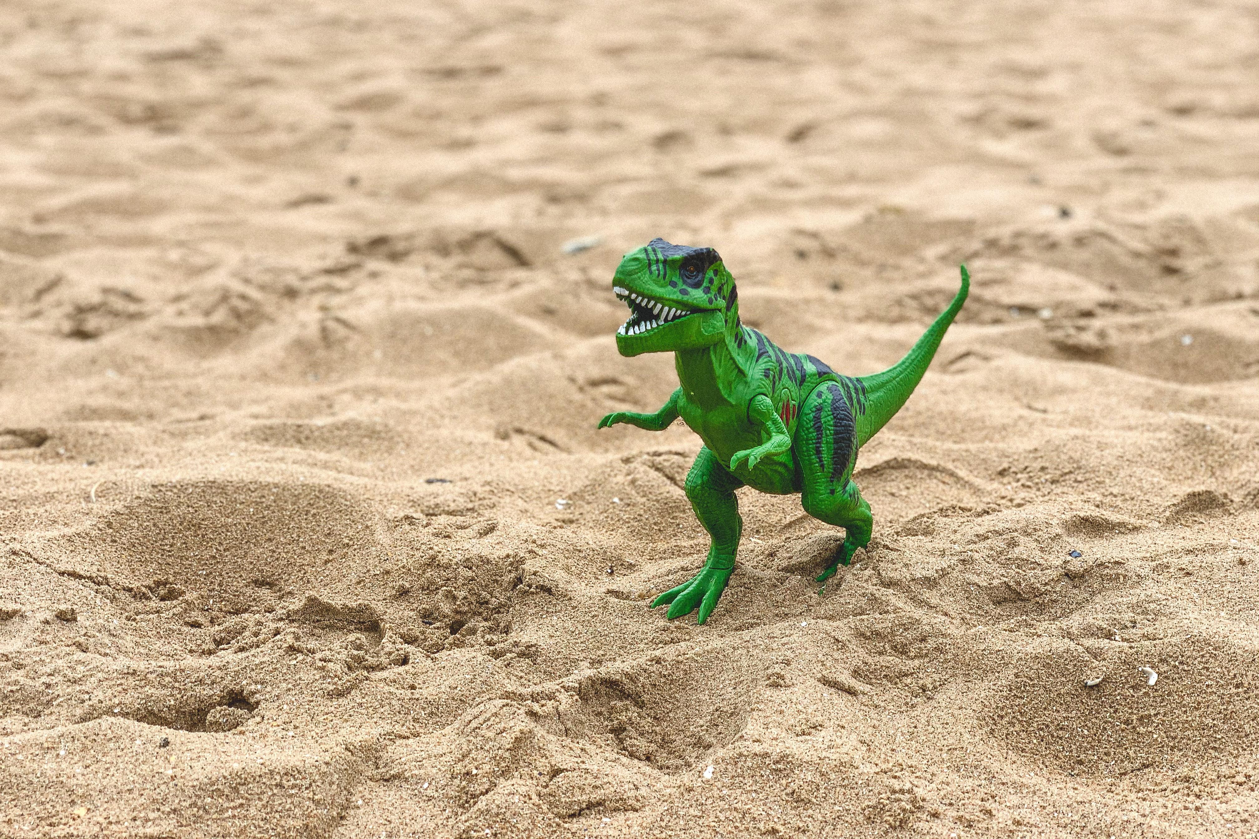 Zöld dinó a homokos parton