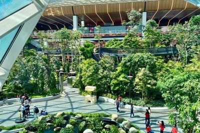 Doha, Katar: Kert trópusi növényekkel a Hamad nemzetközi repülőtéren