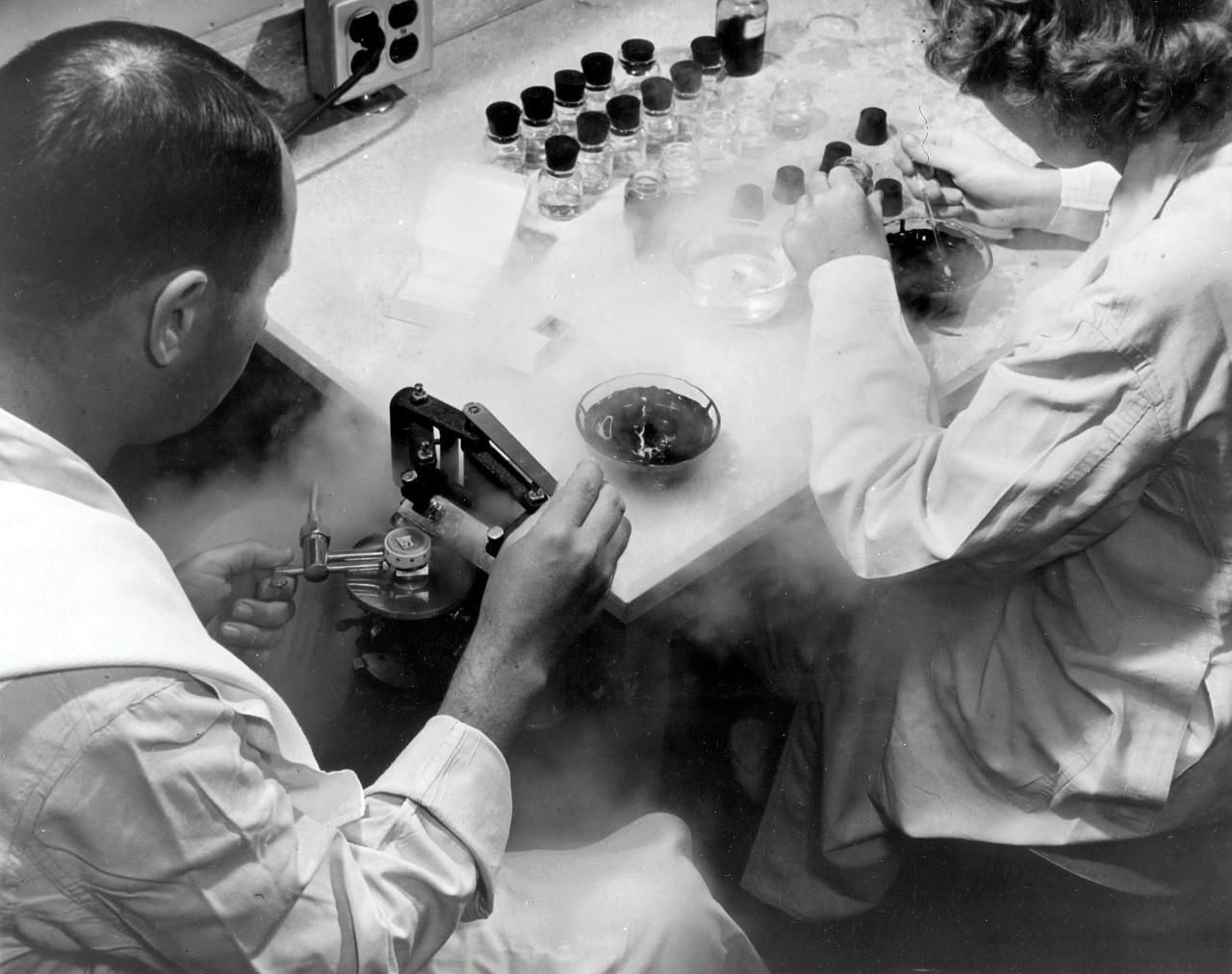 Két tudós petesejtet fagyaszt le egy laboratóriumban