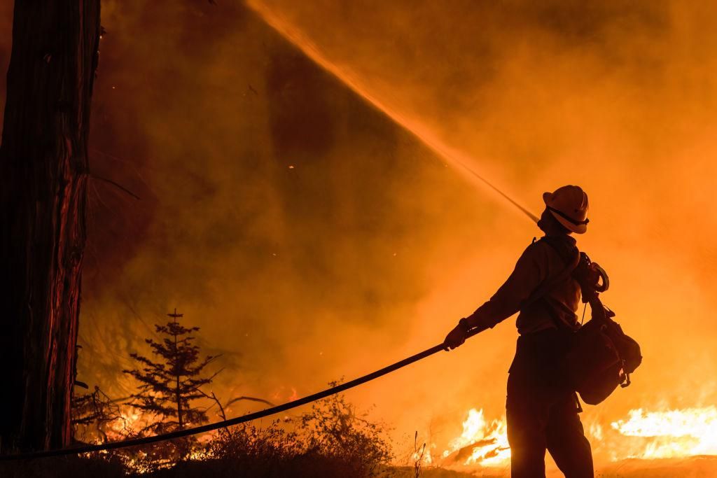 Egy tűzoltó vízzel permetezi a fákat a kaliforniai erdőtüzekben
