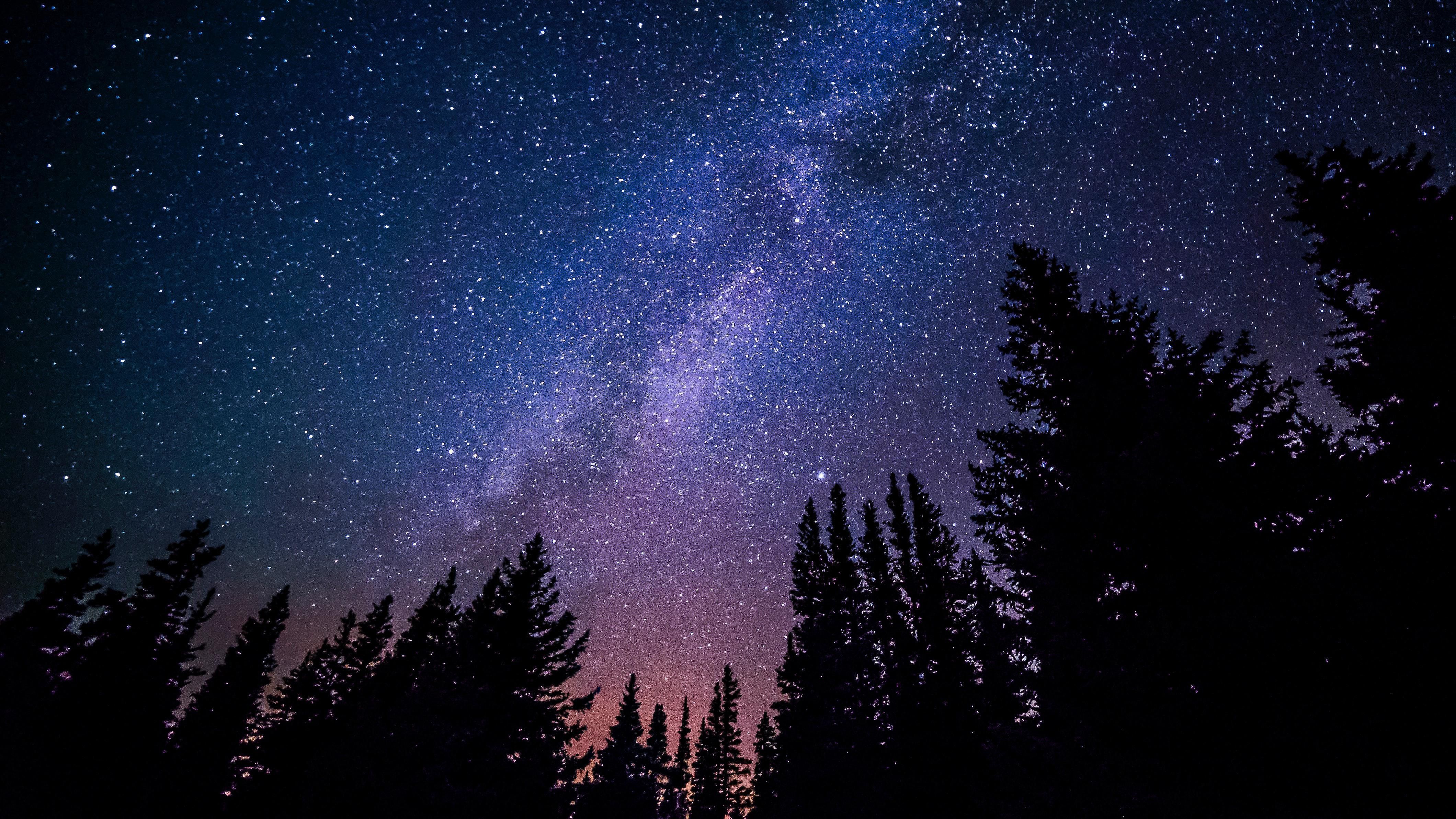 A csillagos égbolt egy erdőből fényképezve