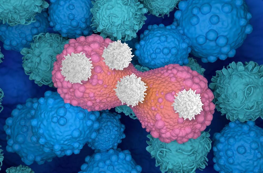 T-sejtek támadják az osztódó mellrákos sejtet, 3d illusztráció