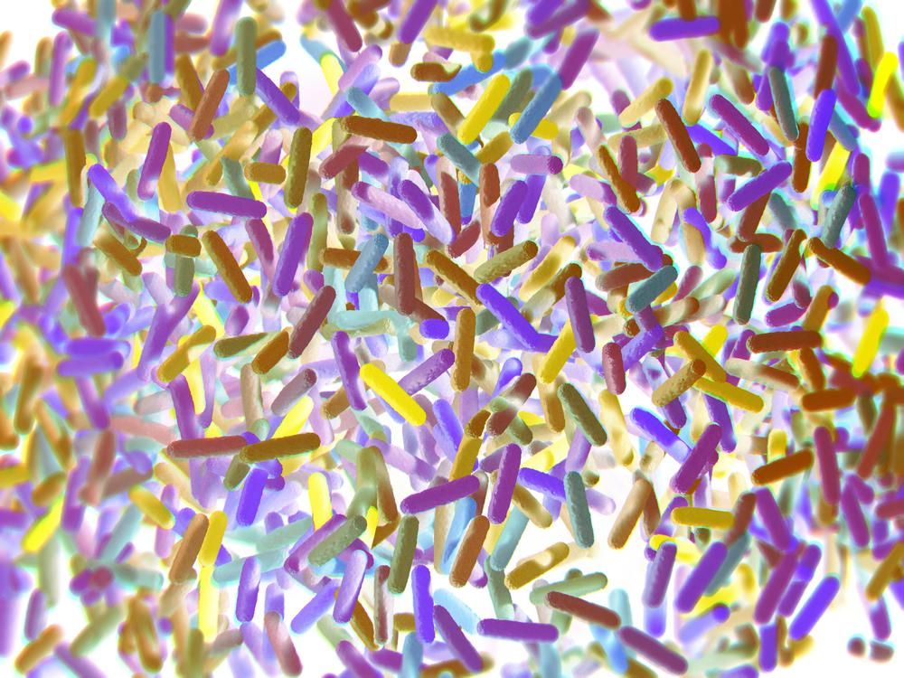 Bélbaktériumok mikrobiomja - 3D illusztráció