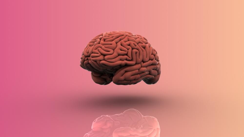 Emberi agy 3D képe rózsaszín háttéren