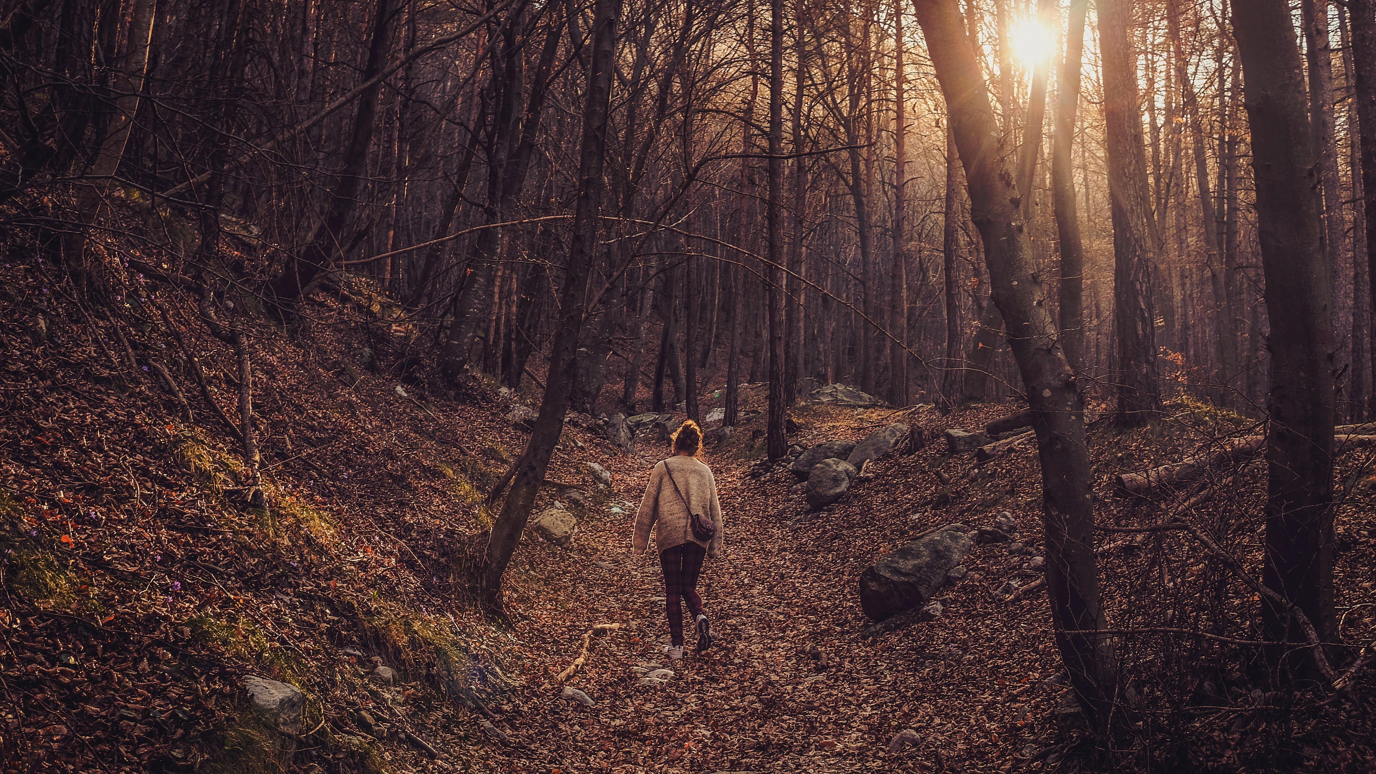 Egy lány sétál az erdőben