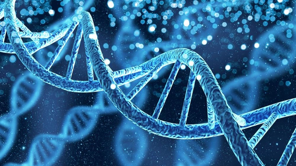 DNS gén hélix spirál molekula szerkezete
