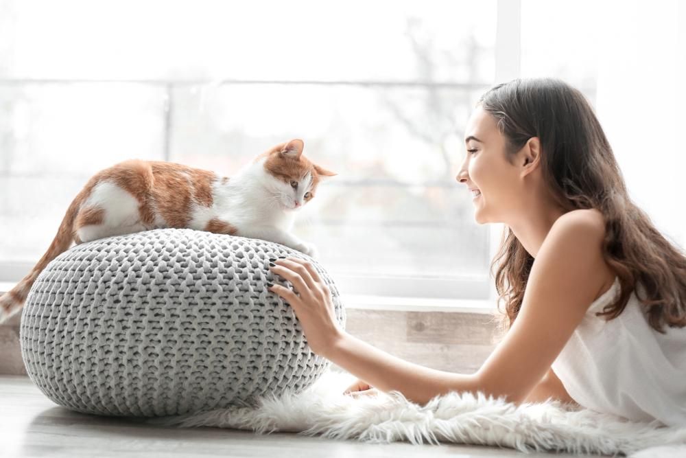 Macskájával foglalkozó nő