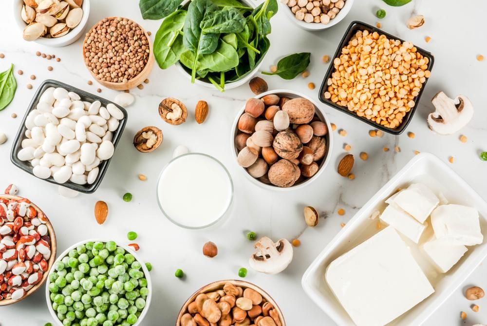Egészséges táplálkozás vegán ételek, zöldségfehérje források: Tofu, vegán tej, bab, lencse, dió, szójatej, spenót és magvak