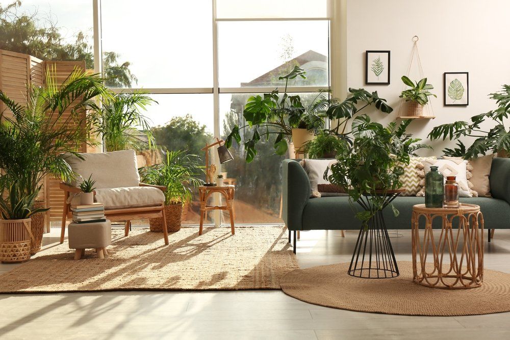Stílusos szobabelső különböző szobanövényekkel és bútorokkal 