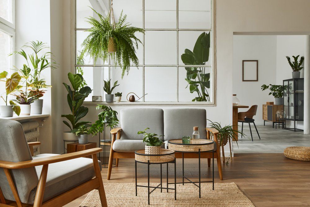 Modern skandináv nappali szobanövényekkel