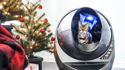 LitterRobot ajándékötlet állatbarátoknak