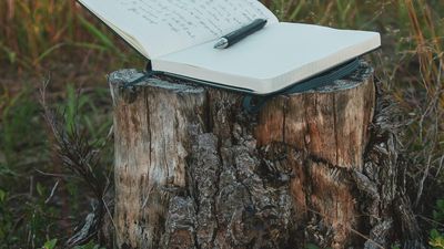 white book on brown wood log