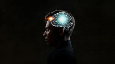 Egy férfi agyáról készített illusztráció 