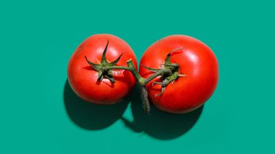 two red tomatoes in green background
